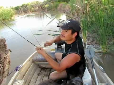 Shrimp vs My Chicken Liver Chum Bait Part 1