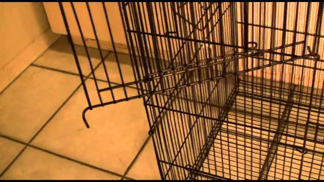 Cheap Sugar Glider Cage