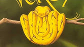 See You Later Alligator Read Aloud Books For Kids Youtube See You Later Alligator Read Aloud Books For Kids Youtube