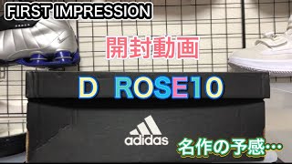 adidas D ROSE10 開封動画