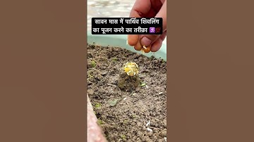 प्रदीप मिश्राजी से सुनिए सावन में पूजा करने का तरीक़ा #shivpuran #upay #pradeepmishra #sawan #shorts