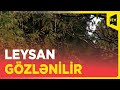 Rayonlara qar yağacaq, leysan olacaq