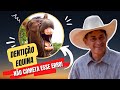 CUIDADOS COM A DENTIÇÃO DO SEU CAVALO COM DR. GUSTAVO