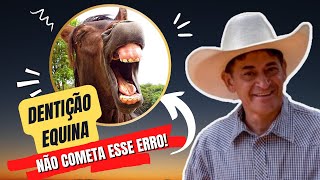 CUIDADOS COM A DENTIÇÃO DO SEU CAVALO COM DR. GUSTAVO