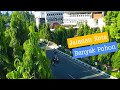 Jalanan Kota Siang Menjelang Sore yang Rindang & Menenangkan 🌿☀️