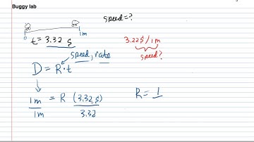 Mini Buggy Lab Summary