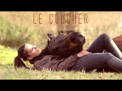 Vidéo: Comment Apprendre à Un Cheval à Se Coucher