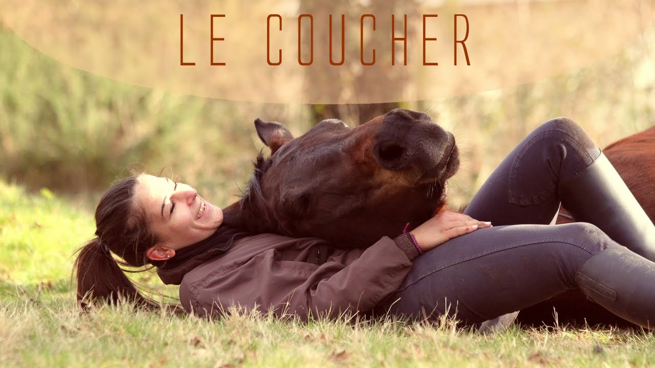Apprendre le coucher à son cheval - Méthode très douce Apprendre le coucher à son cheval - Méthode très douce
