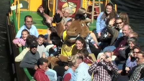 University of Central Oklahoma - Bronchos Everywhere