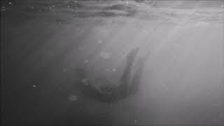 Gℓo - The Beginning