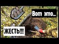 Жесть!!! Искал монеты, а нашёл кучу боеприпасов второй мировой войны... Коп 2020 по войне, в лесу!!!