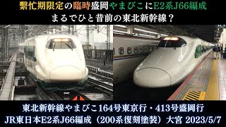 【臨時の盛岡やまびこにJ66編成が充当】東北新幹線やまびこ164号・413号 JR東日本E2系J66編成（200系塗装） 大宮 2023/5/7