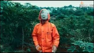 STORY WA LADANG GANJA  INDONESIA