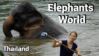 Viel Bla bla in ElephantsWorld Thailand Viel Bla bla in ElephantsWorld Thailand