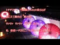 恋姿一代女/島津悦子  カラオケカバー(+4)