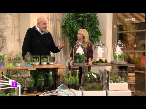Wildwuchs wien mini garten im glas youtube