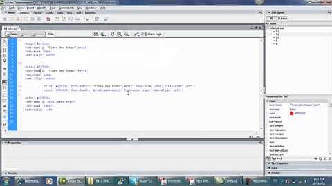 Learning Web Authoring By Sir Saem.mp4