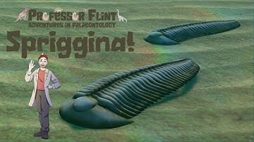 Spriggina! (Official video)