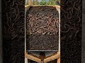 Una lombricompostera transforma residuos orgánicos en humus y lixiviado aprovechable.
