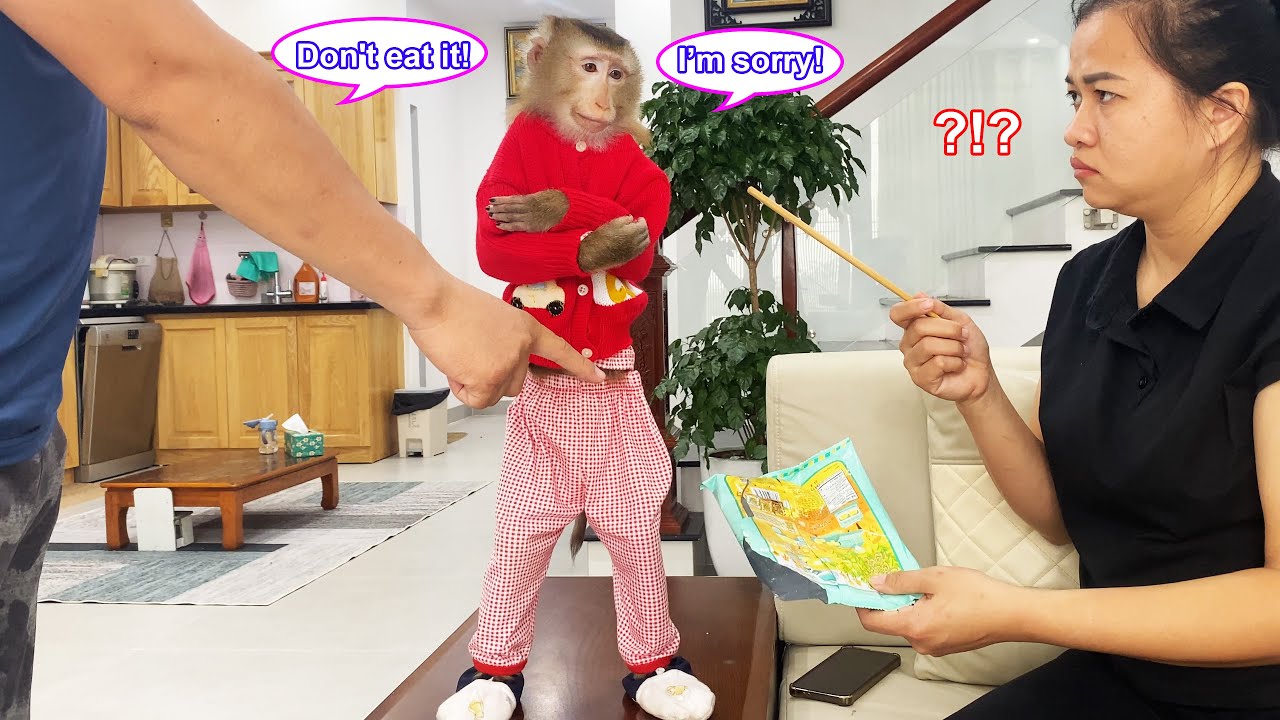 Lyly the monkey is upset with the cameraman because he told her mother about her secret.