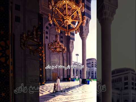 ق ال لاتخا فقال لا تخافا
