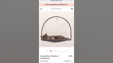 Best cat window hammock? We think so!