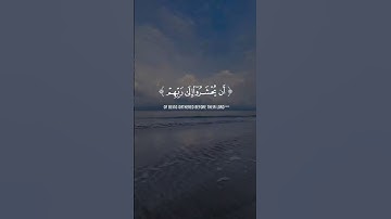 🌟 حين يجتمع الخشوع مع جمال الصوت.. تلاوة مؤثرة | الشيخ المنشاوي #قرآن #اكسبلور