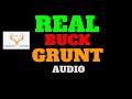 Deer Call : Use This While Hunting if Legal in Your State : Deer Grunting : Deer Sounds- Audio