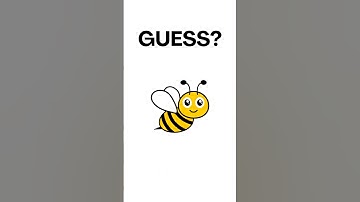 Guess the Insect! Fun and Educational Bug Quiz for Kids 🐞🦋🐜