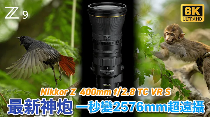 [8K]最新神炮 NIKKOR Z 400mm f/2.8 TC VR S + Nikon Z9 一秒变2576mm超远摄咩玩法  | 试埋Z TC 1.4X 同 Z TC 2.0X - 天天要闻