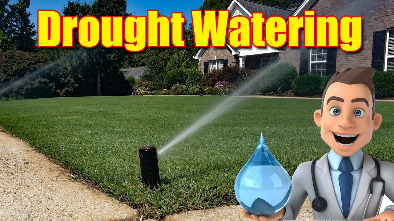 lawn-watering-schedule-during-summer-drought-youtube