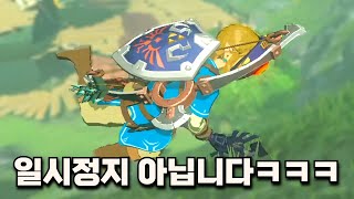 [제보 영상] 마법 빗자루를 탄 링크