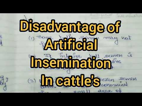 #Disadvantages of #Artificial #Insemination in #Cattles #Ritika&rsquo;s tutorial