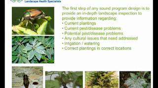 Advanced Landscape Presentation