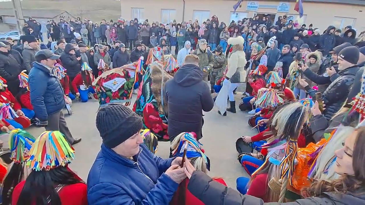 Costești: Cerbul de la Costești