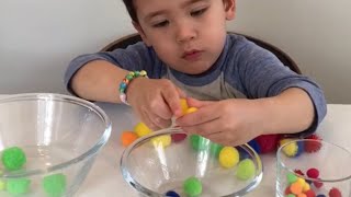 Sorting by size with pom poms