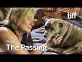 THE PASSING Trailer | TIFF 2023