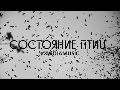 🌲СОСТОЯНИЕ ПТИЦ | #XWOJAMUSIC | RUSSIAN SCREAMO | ХВОЯ ПОДКАСТ