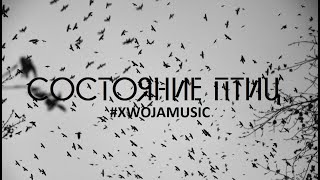 🌲СОСТОЯНИЕ ПТИЦ | #XWOJAMUSIC | RUSSIAN SCREAMO | ХВОЯ ПОДКАСТ