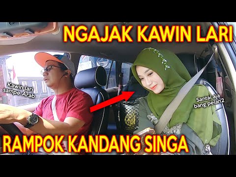 PRANK SHOLAWAT RAMPOK KANDANG SINGA !! BINI TETANGGA KAWIN LARI