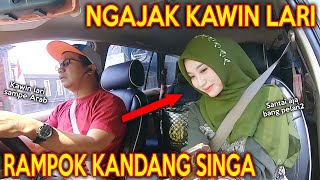 PRANK SHOLAWAT RAMPOK KANDANG SINGA !! BINI TETANGGA KAWIN LARI