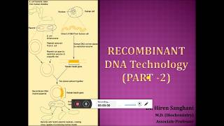 Recombinant DNA Technology Part-II (includes process in detail and application)