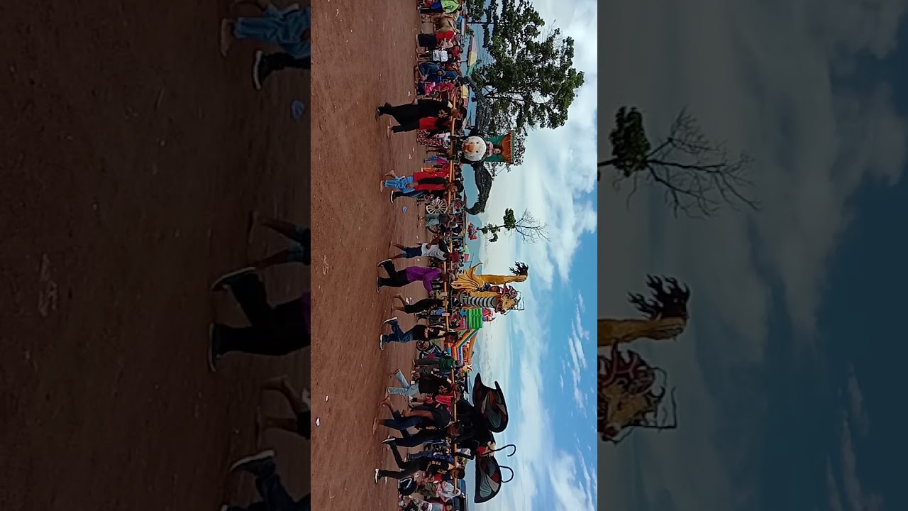 Naik burung Elang 