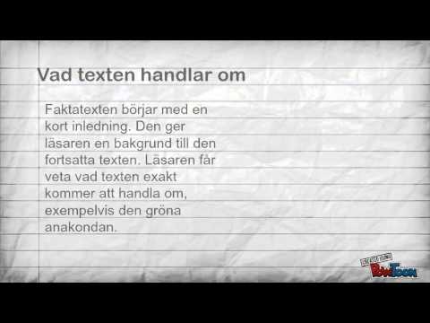 Faktatext - YouTube