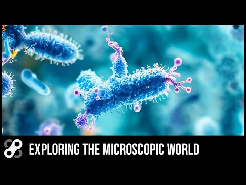 Exploring the microscopic world