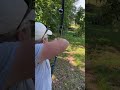 The woodland archers  archery  55 yards practice on 2 balloonsarchery bogenschieen shorts