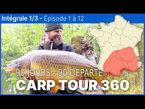 Vidéo: Carpe - un poisson avec une disposition prudente