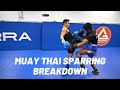 Hard Muay Thai Style Sparring Breakdown