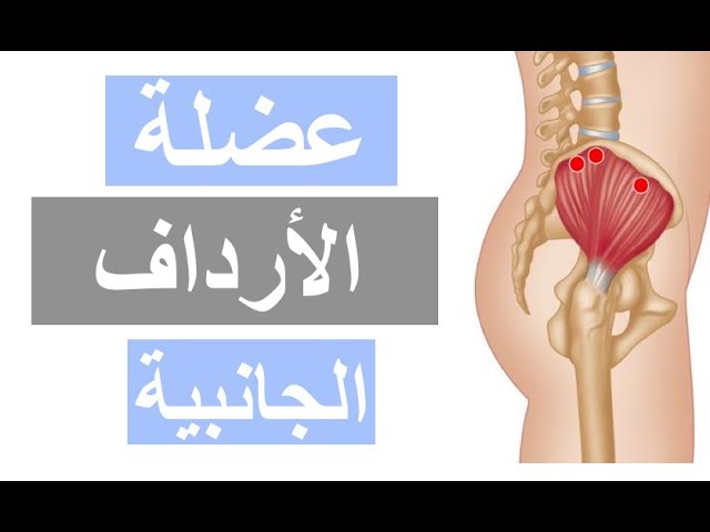 الألوية المتوسطة على يوتيوب