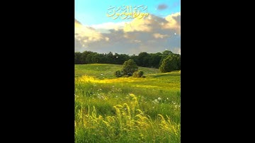 سورة المؤمنون #القرآن_الكريم #اكسبلور
